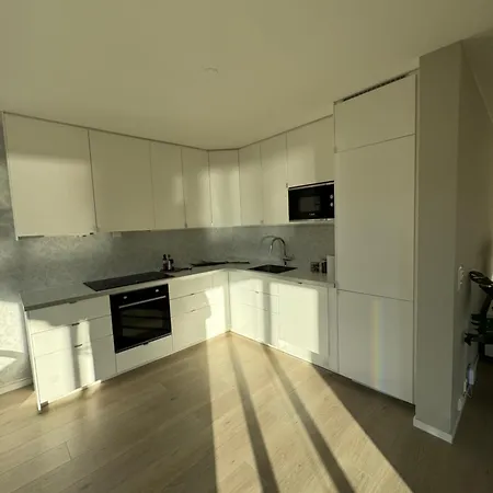 Lejlighed Big Modern Aparthment Near By The Sea & Center *